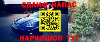 spice Нарткала