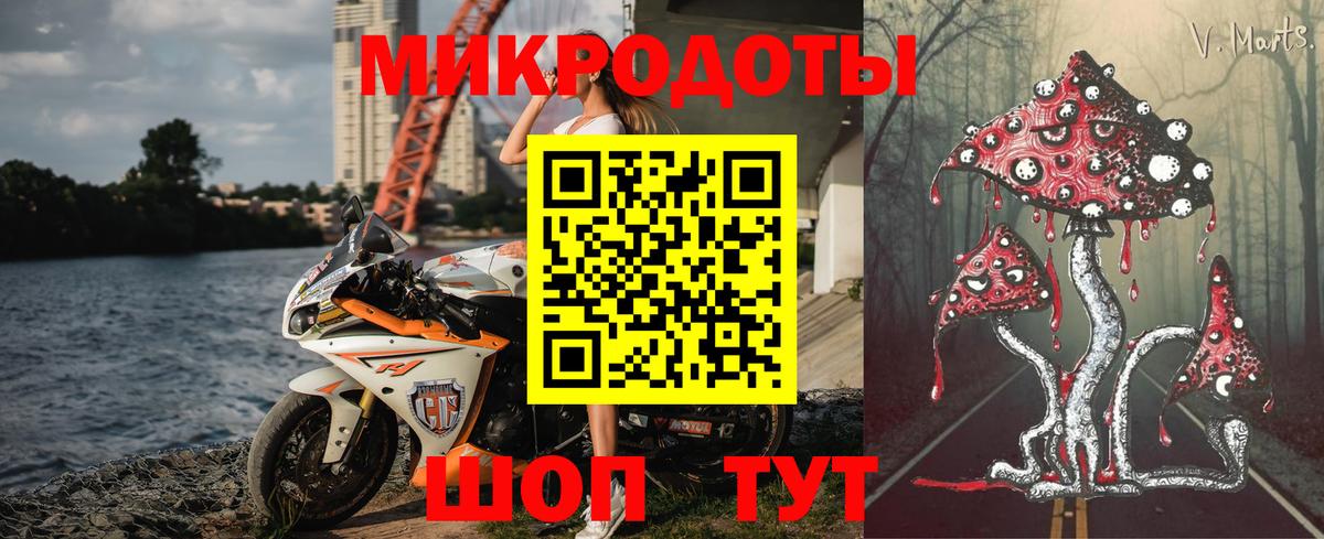 Черняховск  Псилоцибиновые грибы Cubensis  Вход с VPN 